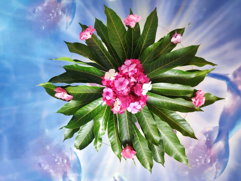 Momentos no Cantuá 6